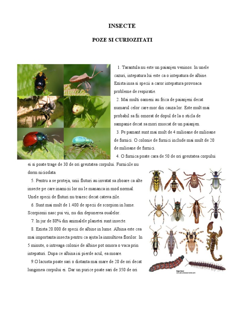 0 Ti Si Imagini Insecte | PDF