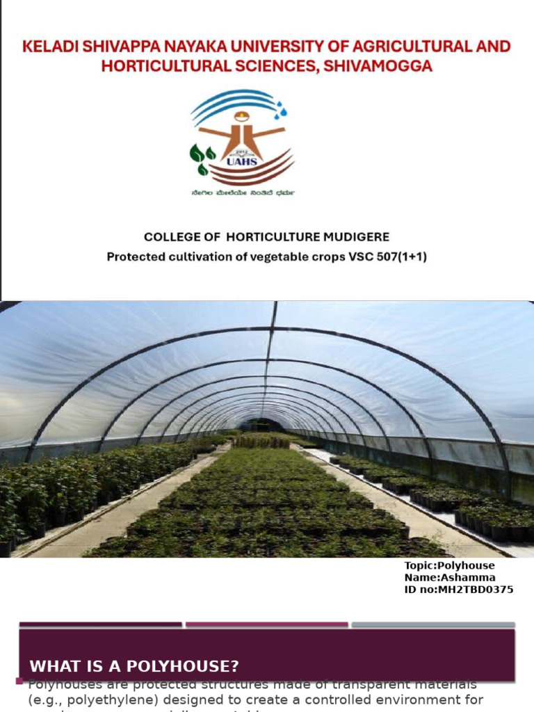 Understanding Polyhouse Structures | PDF | Hydroponics | Vegetables