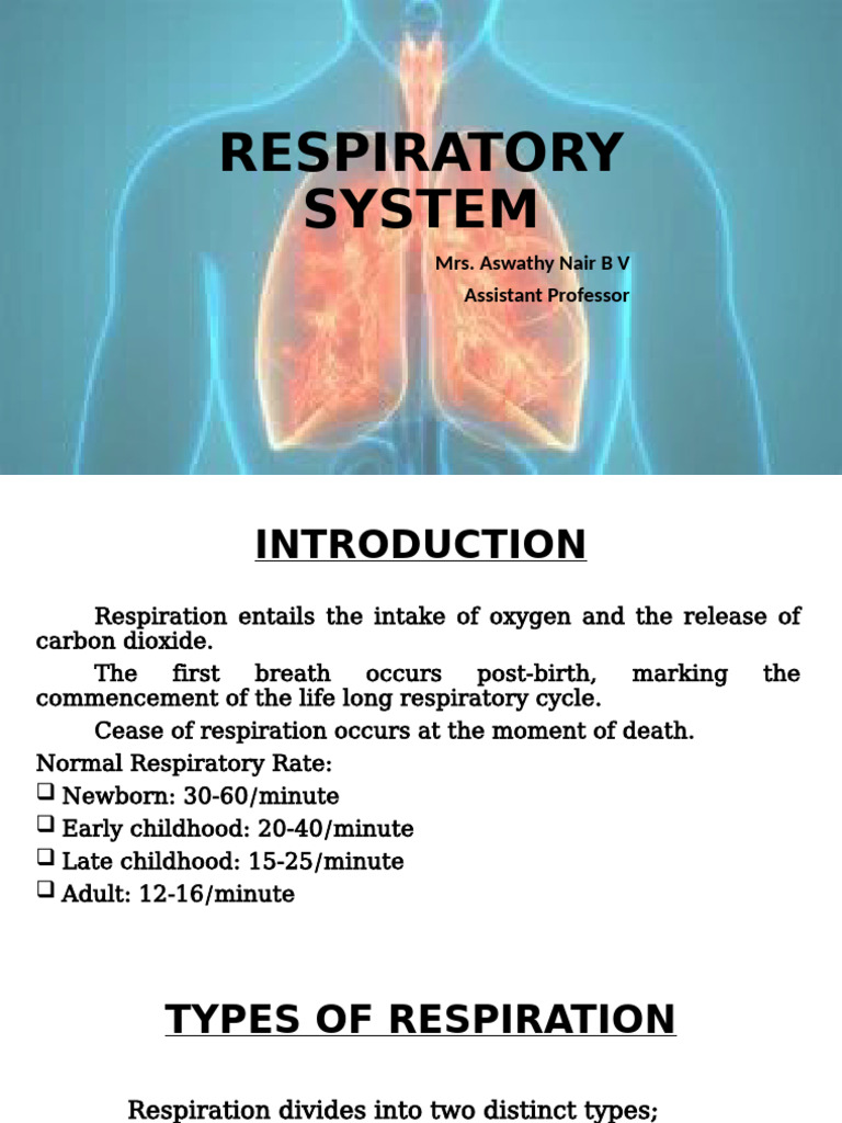 Functions of Respiratory Organs | PDF | Respiratory Tract | Respiratory ...