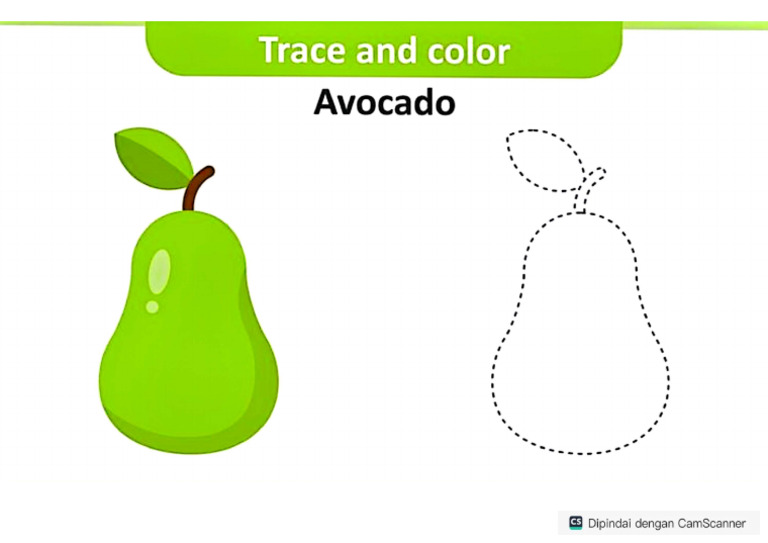 Color Avocado | PDF