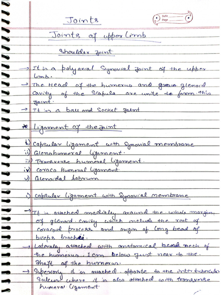 Joints | PDF