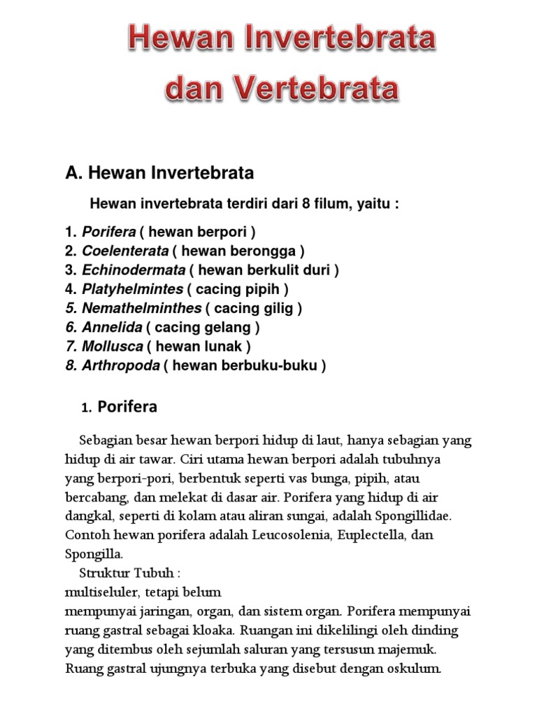 Hewan Invertebrata Dan Vertebrata
