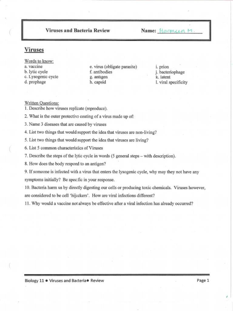 Viruses and Bacteria KEY | PDF