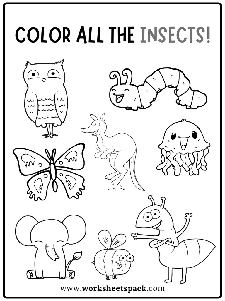 Color All The Insects Worksheet Free Insects Coloring Book PDF | PDF