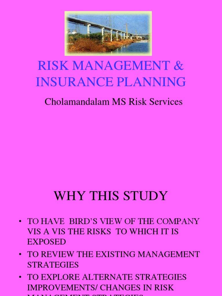 Risk Management and Insurance Analysis | PDF
