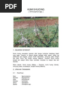 Download kumis_kucing by dhiforester SN8754880 doc pdf