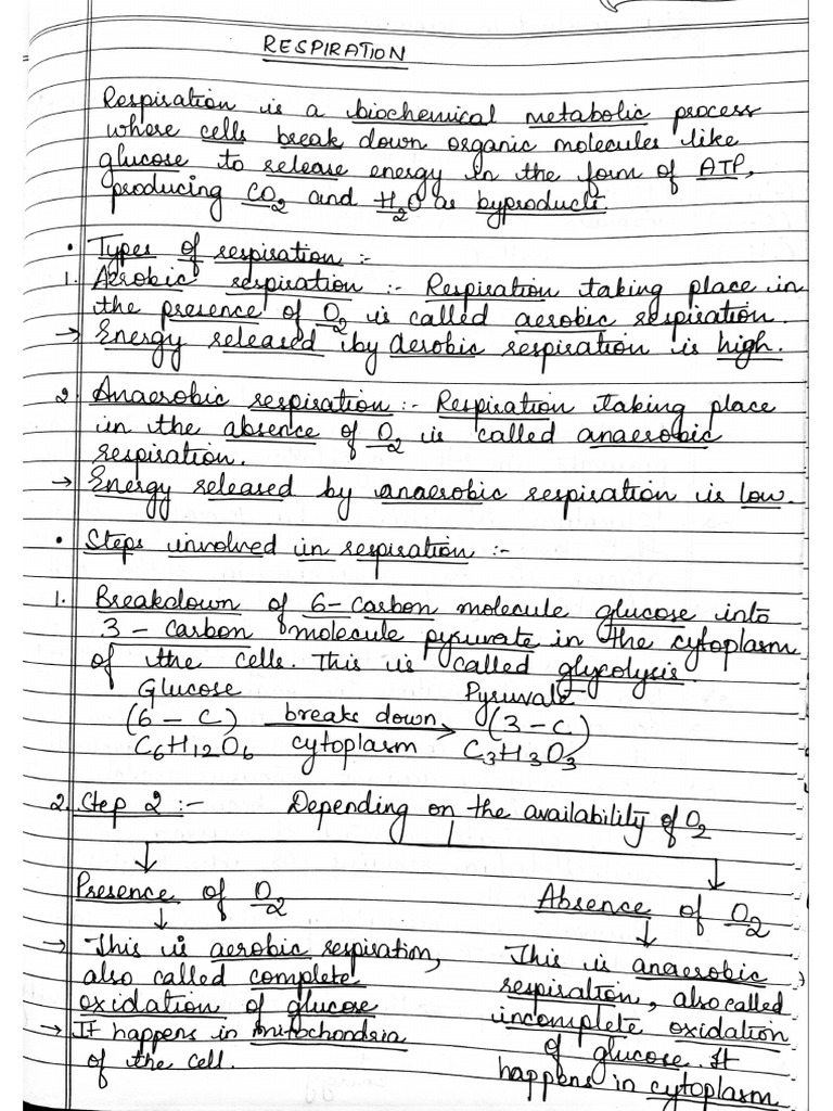 Respiration | PDF