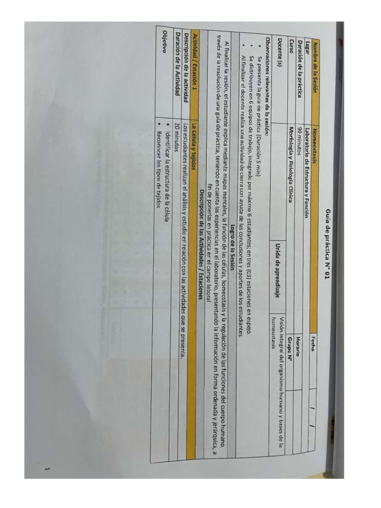 Practica 01 | PDF