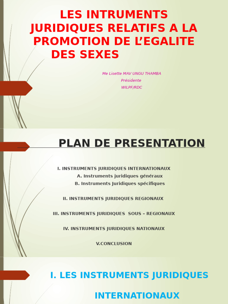 Instruments juridiques pour l'égalité des sexes | PDF | Justice | Crime ...