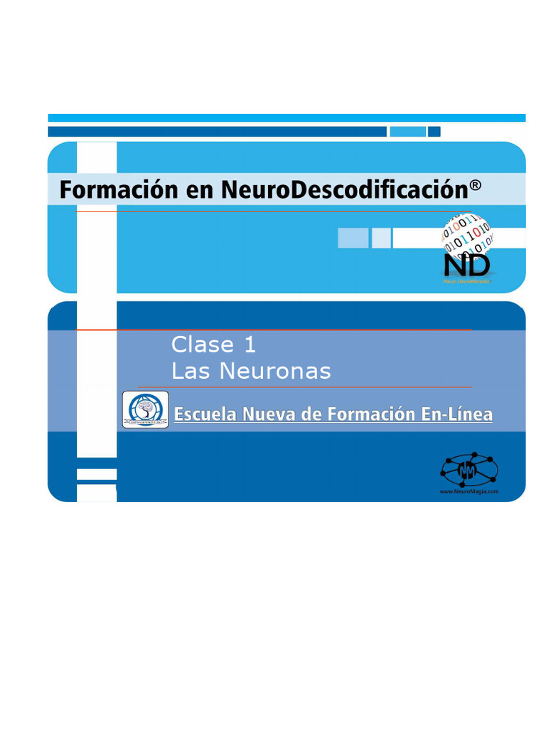 Estructura y función de las neuronas | PDF | Neurona | Sistema nervioso