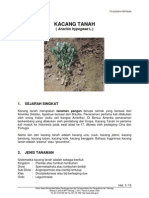 Download Kacang Tanah by dhiforester SN8755477 doc pdf