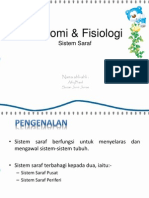 PowerPointAnatomiFisiologiSistemSaraf 090224201540 Phpapp02