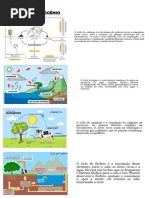 Ciencias - Aula Ciclo Da Materia e o Fluxo de Energia - 4 Ano | PDF ...