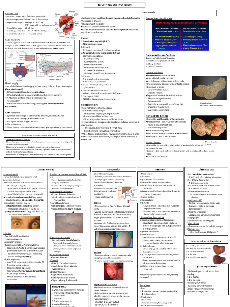 38 Med Cirrhosis and Liver Failure | PDF | Cirrhosis | Liver