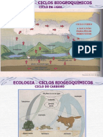 207 40604 Ecologia - Ciclos Biogeoquimicos