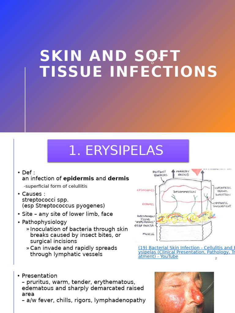 Skin and Soft Tissue Infections Guide | PDF | Dermatology | Medical ...