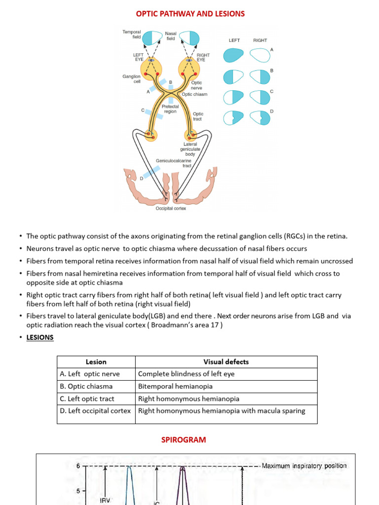 Final Clinical Charts With Explanation 2025 | PDF | Chemical Synapse ...