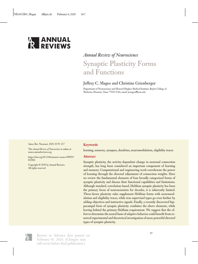 Synaptic Plasticity: Forms and Functions | PDF | Synaptic Plasticity ...