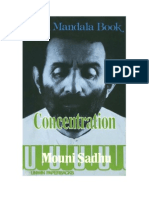 Mouni Sadhu. Concentration