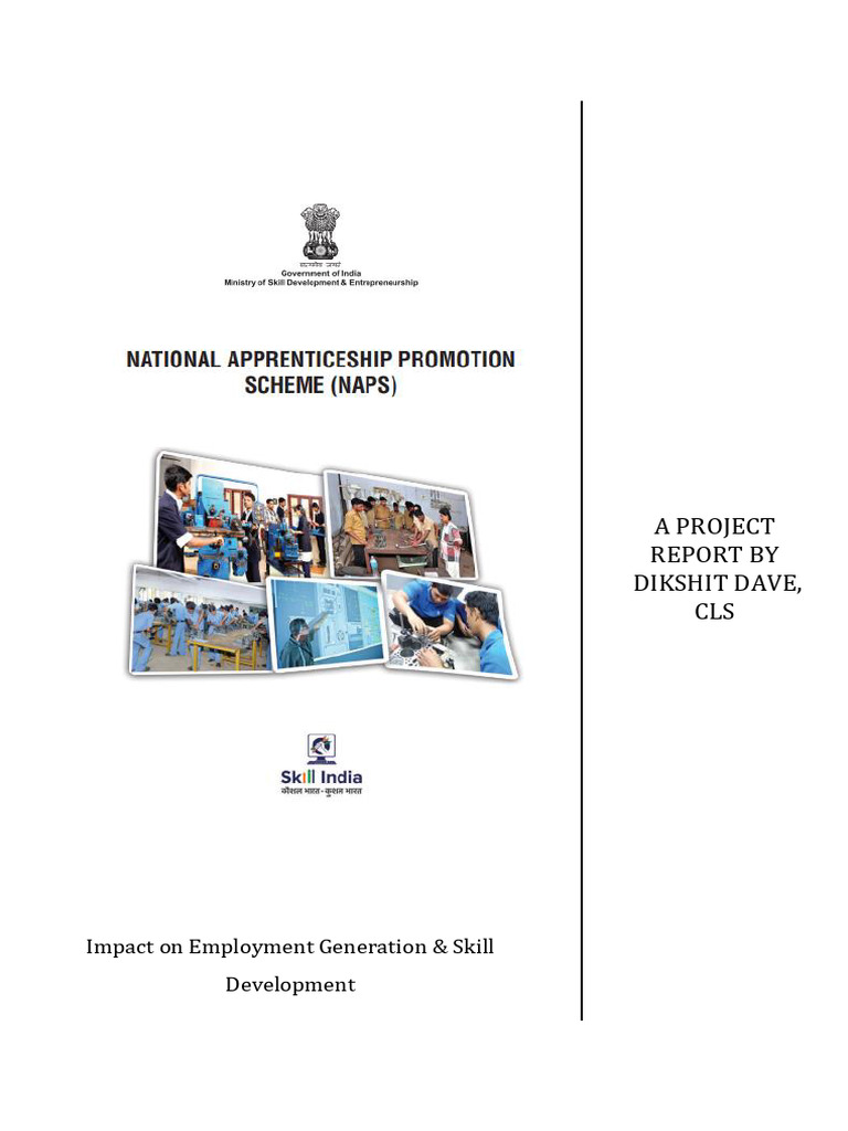 NAPS Impact on Employment & Skills | PDF | Apprenticeship | Small And ...