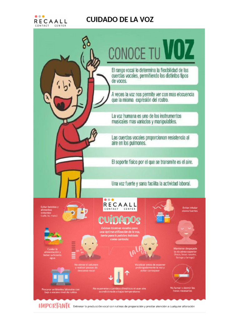 Cuidado de La Voz | PDF