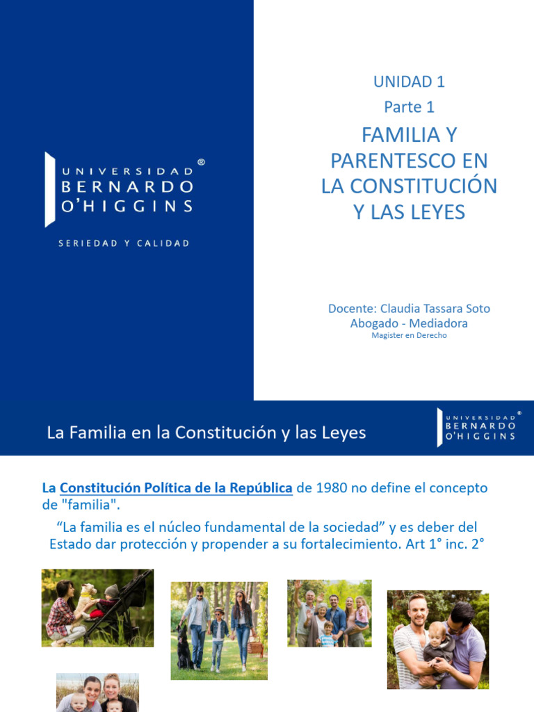Unidad 1 Parte 1 Familia y Parentesco | PDF | Parentesco | Parentesco y ...