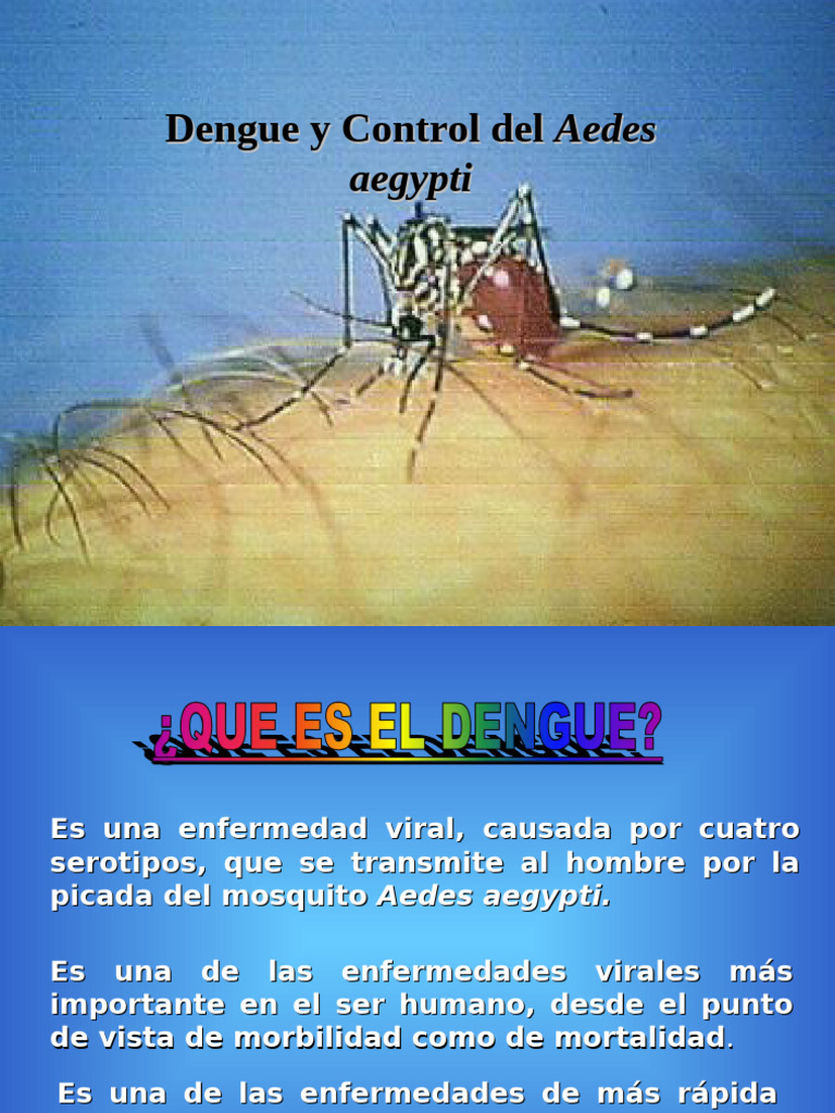Dengue Vigilancia y Control Del Vector | PDF | Aedes aegypti ...