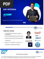 Manual SAP PP: Guía de Usuario | PDF