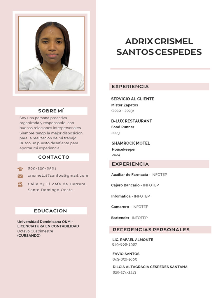 Currículum Vitae CV Diseñadora y Arquitecta Minimalista Rosa | PDF