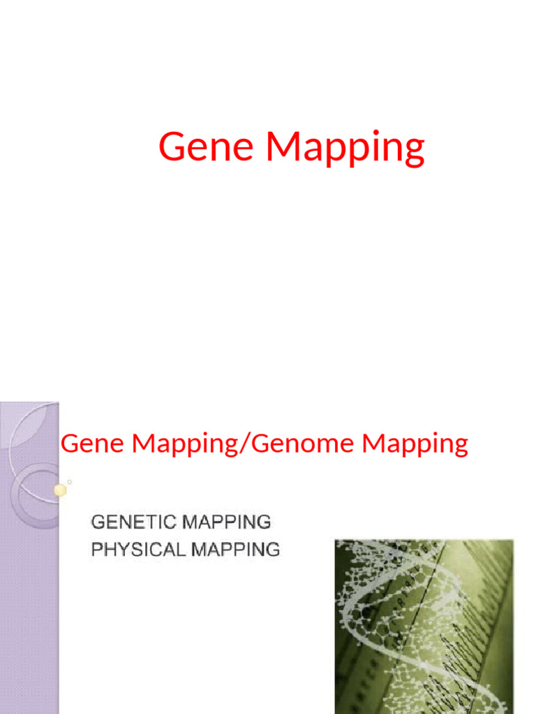 Genenmapping | PDF