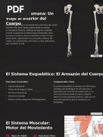 Esquema Completo de Anatomía Humana | PDF