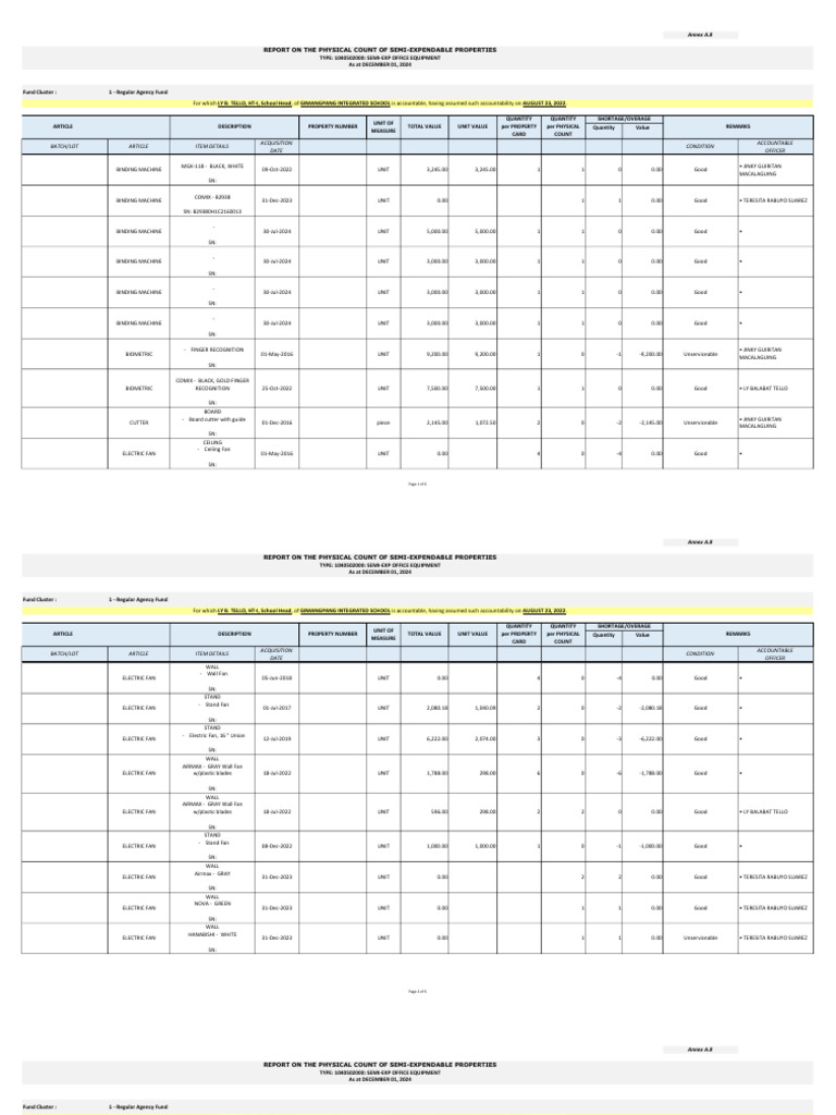Semi-Expendable Office Equipment Report | PDF | Equipment | Gas ...