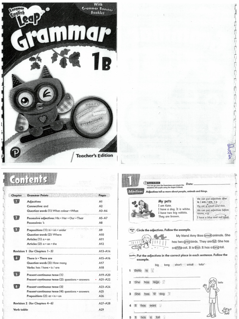 1B Grammar | PDF