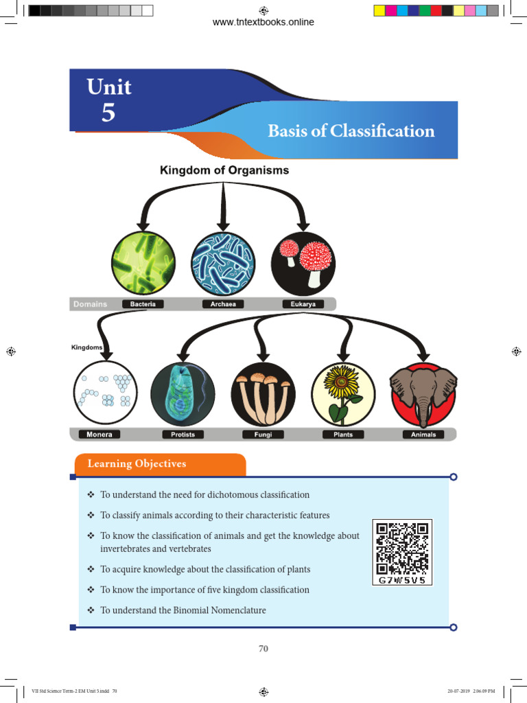 Classification of Living Organisms | PDF | Plant Stem | Plants