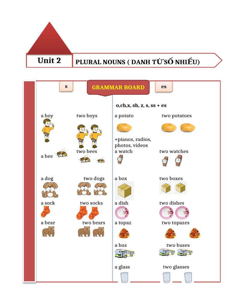 UNIT 2 (Plural Nouns) | PDF