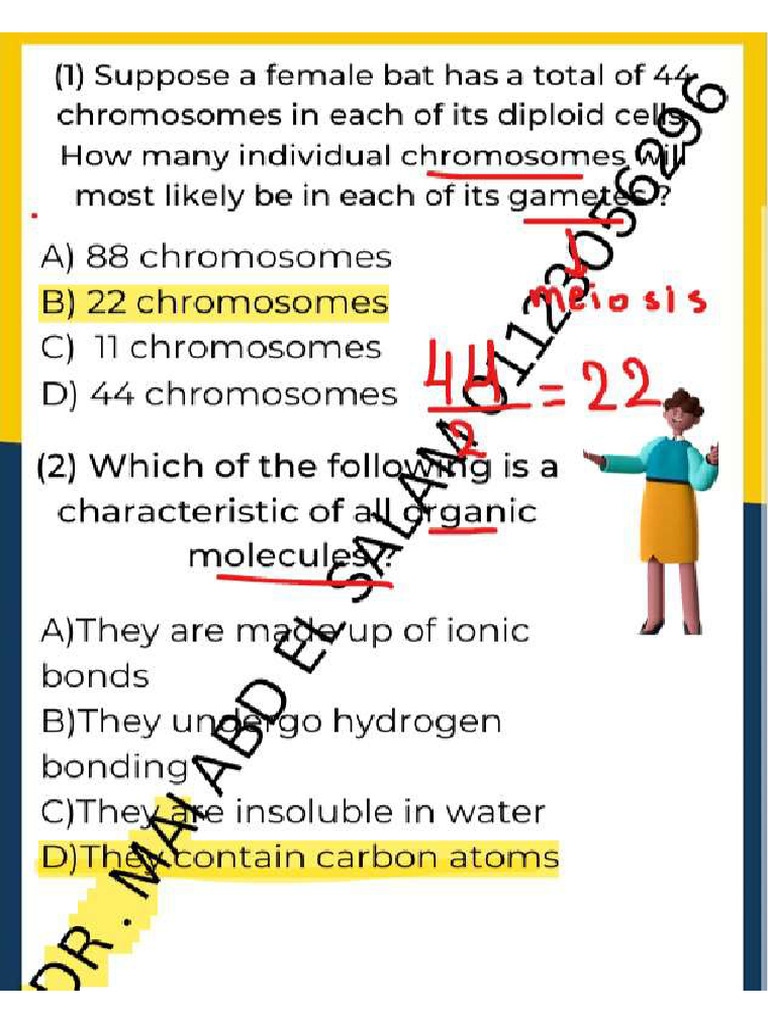 Dec File Answers | PDF