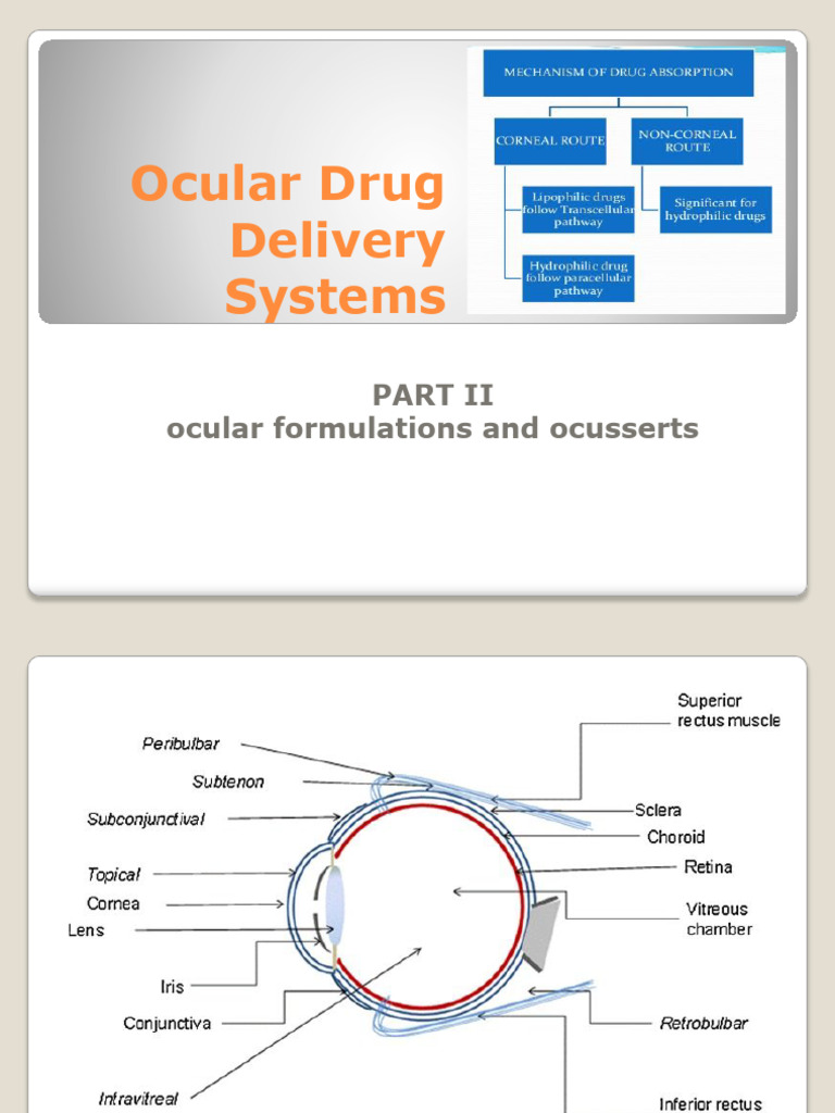 NL5 Ocular Drug Delivery Systems Part 2 | PDF | Liposome | Cornea