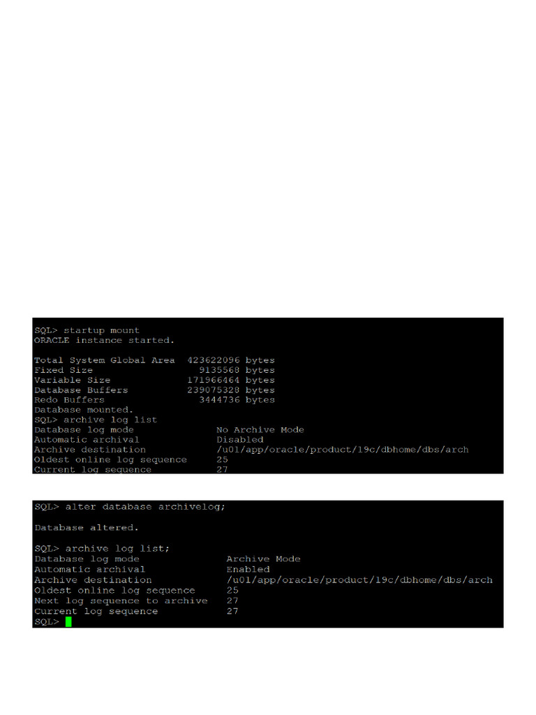 Oracle 19c Hot Cloning Steps | PDF | Backup | Databases