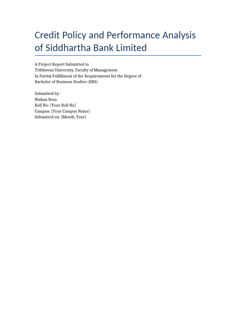 Final SBL Credit Policy Report | PDF | Methodology