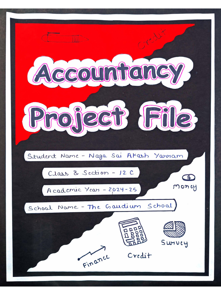 Accounts Project File Class 12th (2024-25) | PDF