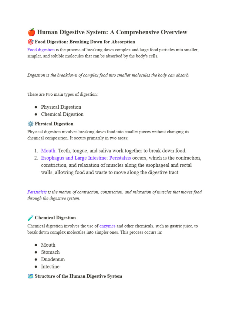 ? Human Digestive System | PDF | Digestion | Human Digestive System