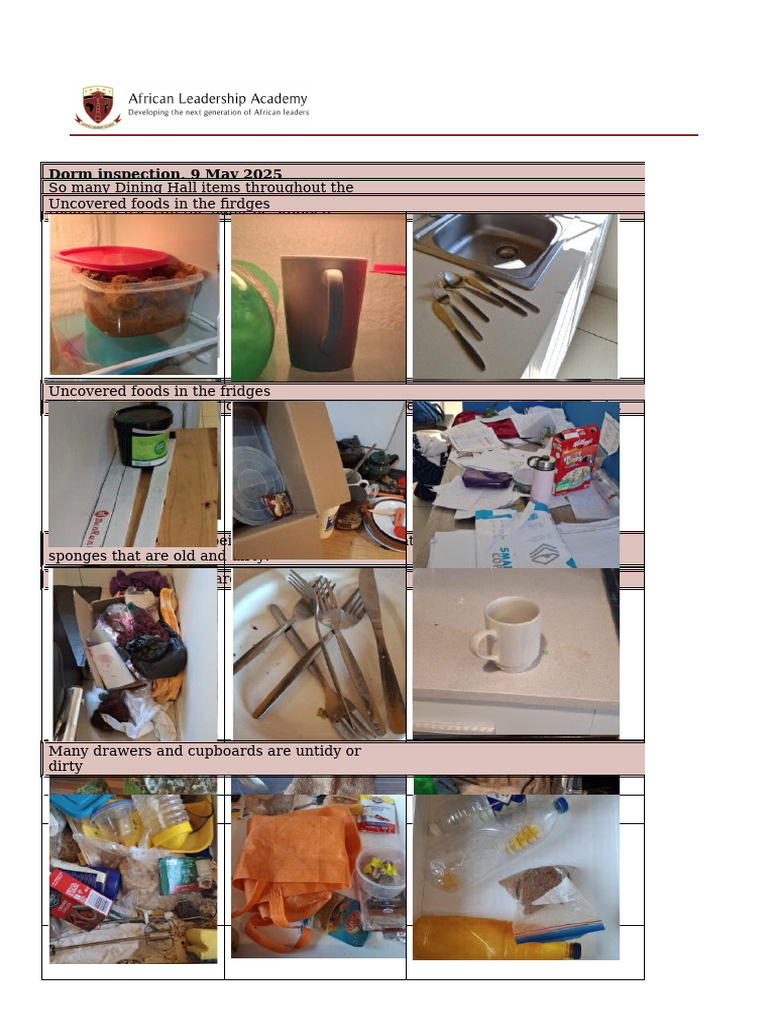 Dorm Inspection Guidelines and Issues | PDF