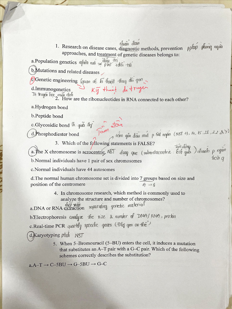 shdt | PDF