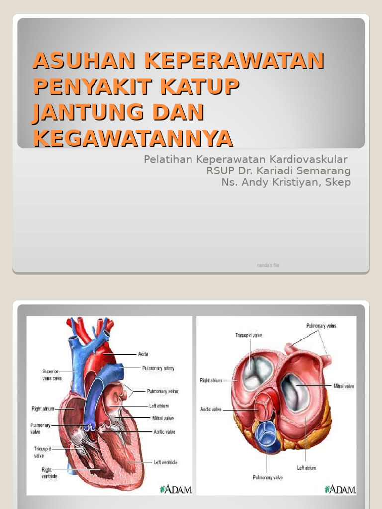 Peny. Katub Jantung (Andy K) | PDF