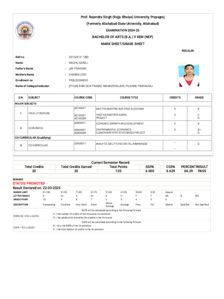 B.A. V Semester Marksheet Summary | PDF