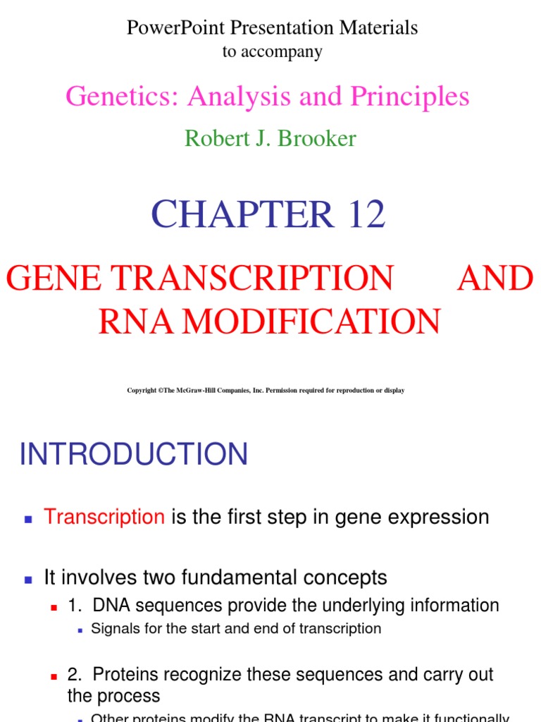 Chapter 12 Power Point L | PDF | Rna Splicing | Rna
