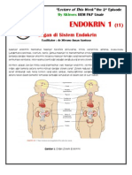 Endokrin Anatomi PDF