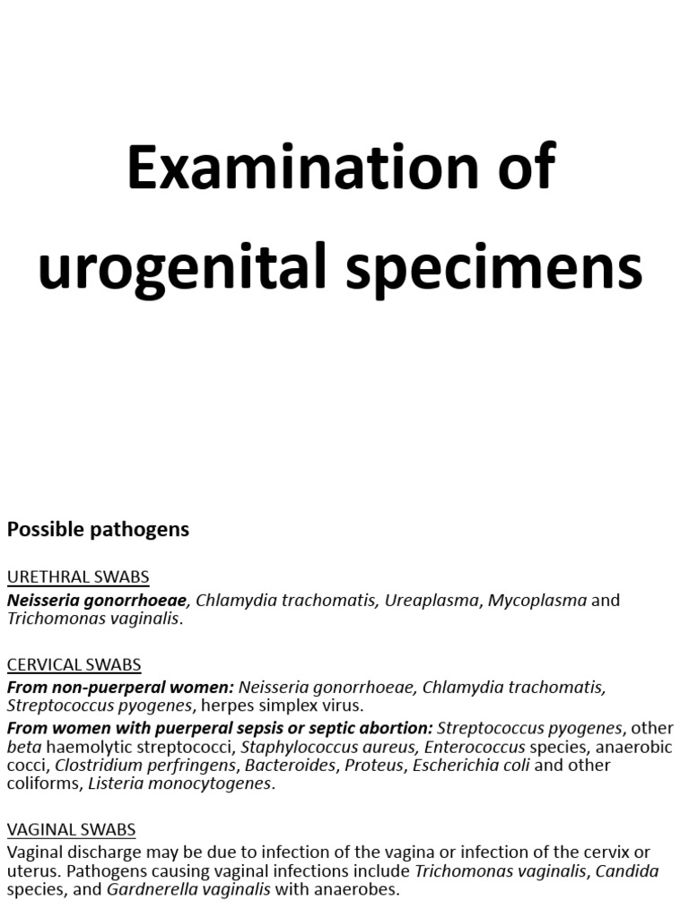 Urogenital Specimen Pathogen Analysis | PDF | Streptococcus | Human ...
