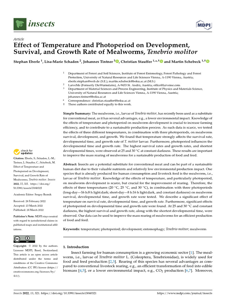 Mealworm Development and Temperature Effects | PDF | Pupa | Insects