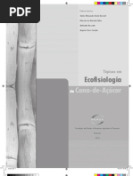 SIM CANA_projeto1 Miolo